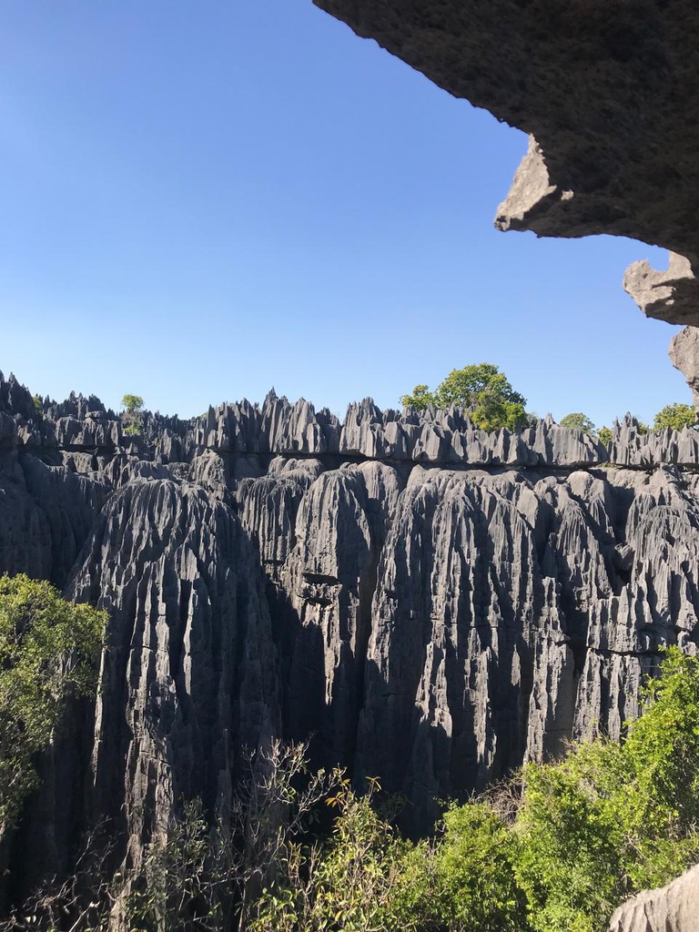 Le parc national Bemaraha